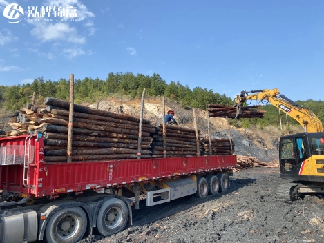 6米長(cháng)松木樁